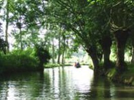 2007 venise verte (1)