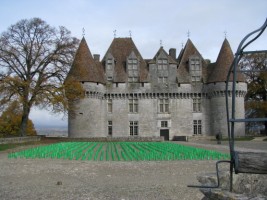 2008 Bourget Shinning (2)