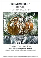 2007 DELESALLE invitation