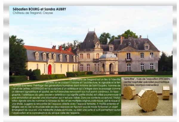 Astérisque Sandra AUBRY et Sébastien BOURG EPH2011 (9)