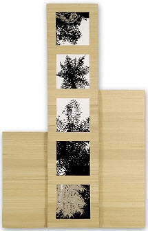 orakei korako Sylvie WEBER