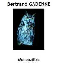 2013 B Gadenne