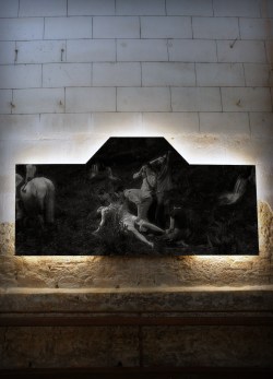 photo de Benoît SCHMELTZ (2)