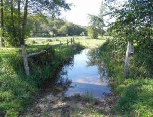 2015 chemin des orchidées à QUEYSSAC