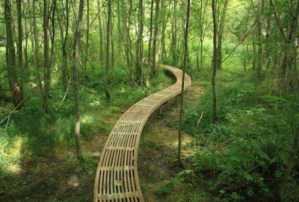 2015 projet de Christophe GONNET