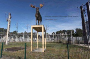 2015 projet de Victoria KLOTZ