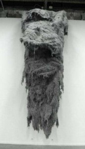 © Yuhsin U CHANG Paris 2010