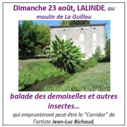 2015 Balade de LALINDE 23 août