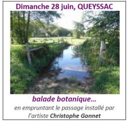 2015 Balade de QUEYSSAC, 28 juin