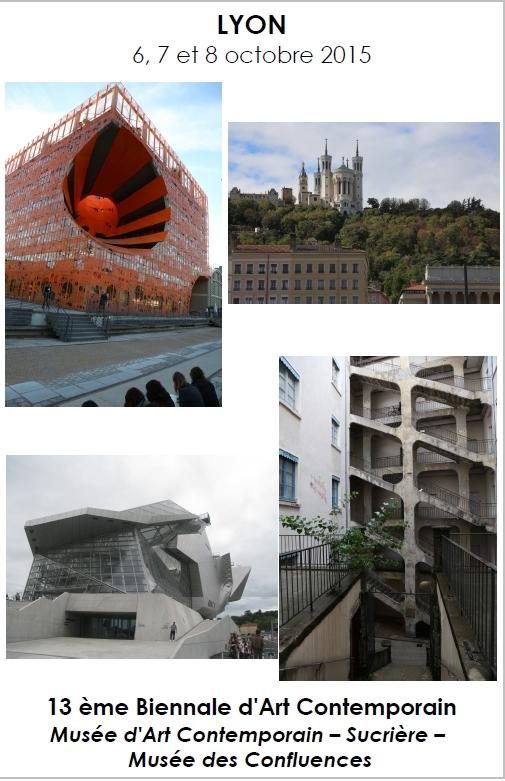 2015 Sortie Culturelle 13ème Biennale d'Art Contemporain de Lyon