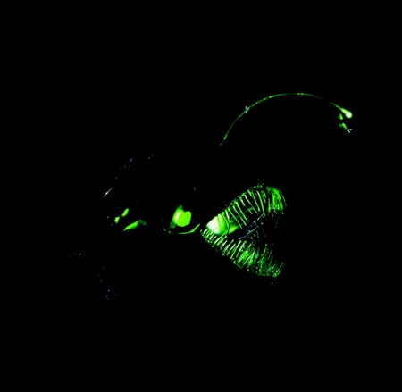 "Poisson abyssal", Yves CHAUDOUËT ; prêt du Frac Limousin ; exposition Monbazillac ; © 2016 - Yves Chaudouët - ADAGP