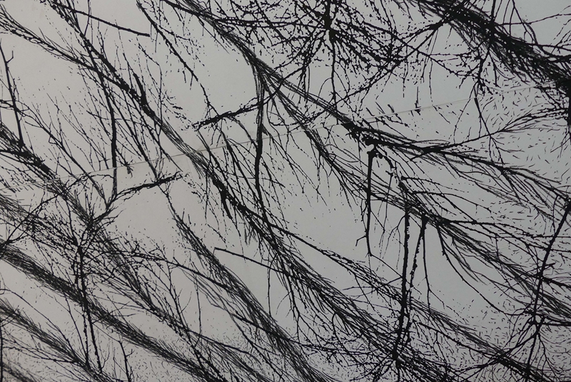 papier sérigraphié